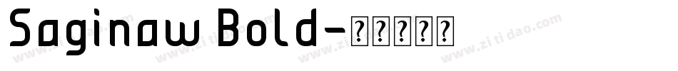 Saginaw Bold字体转换